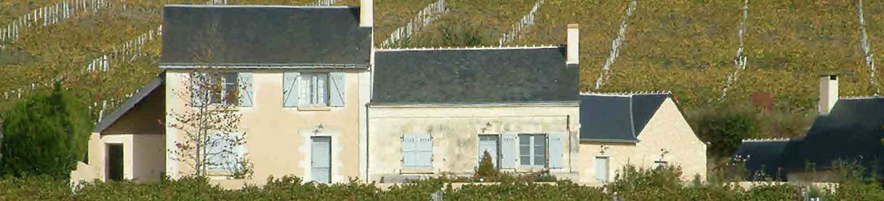 Domaine de la Butte, una bodega situada en la cima de la colina