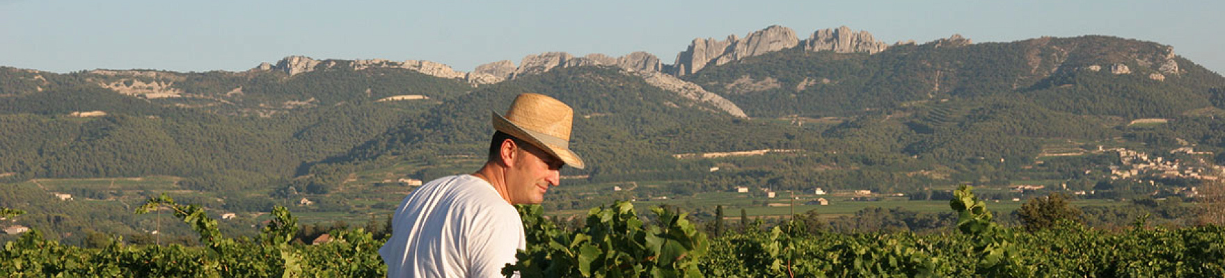 Domaine la Collière