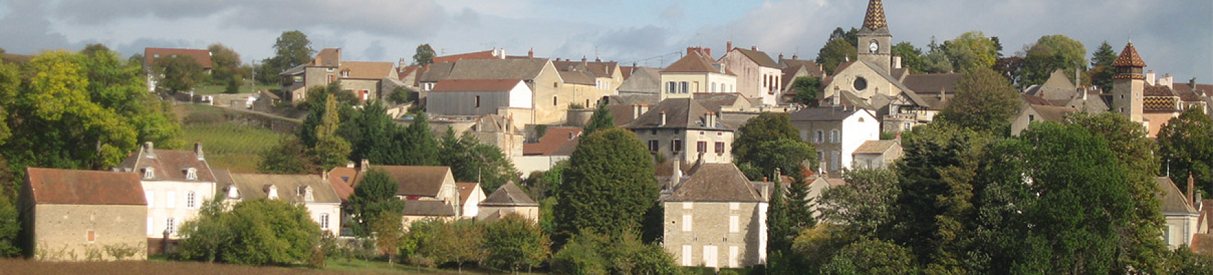 Domaine Potinet-Ampeau