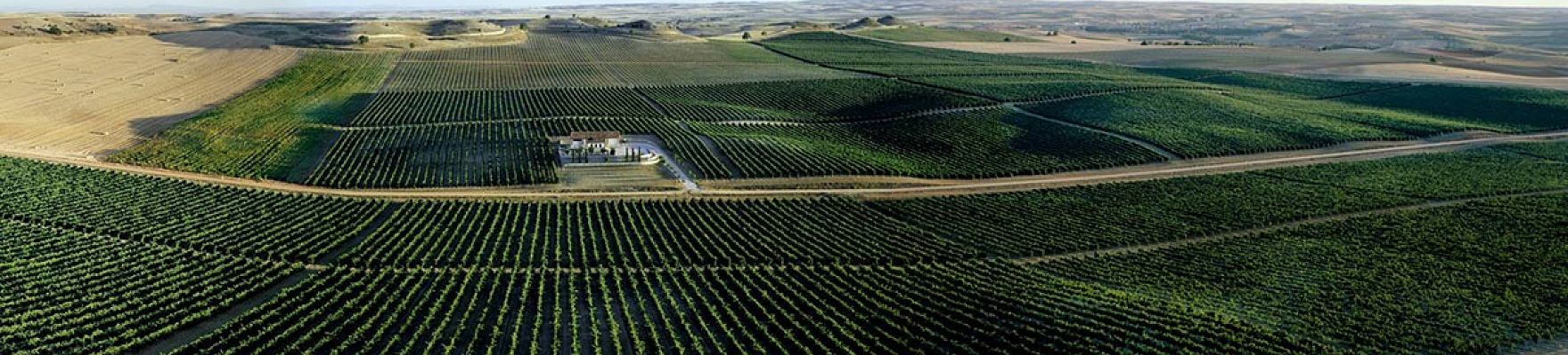 Bodegas Frontaura