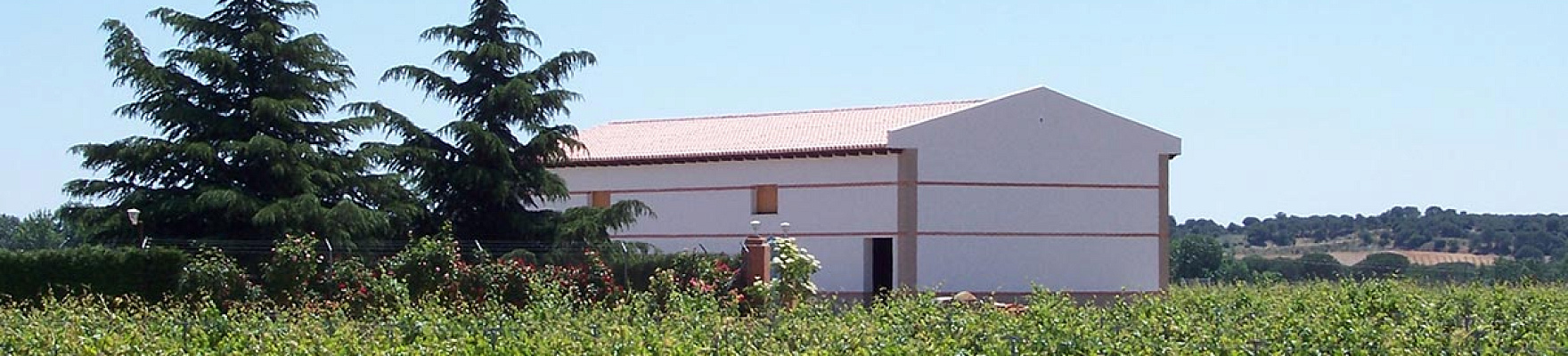 Bodegas Gil Luna