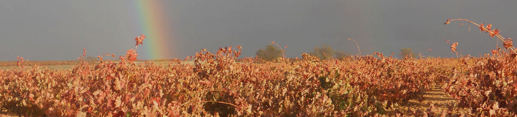 Bodegas Iturria