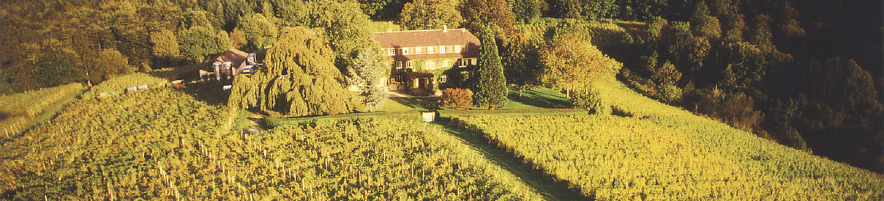 Weingut Nägelsförst
