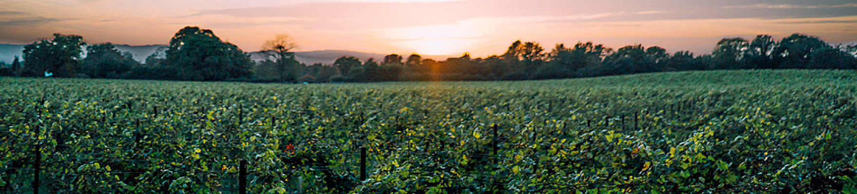 Nyetimber