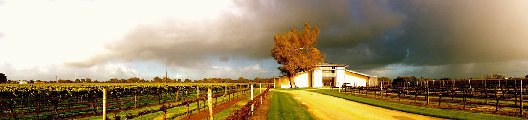 Parker Coonawarra Estate