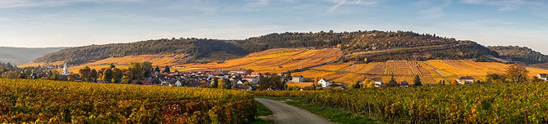 Domaine Pierre Boisson