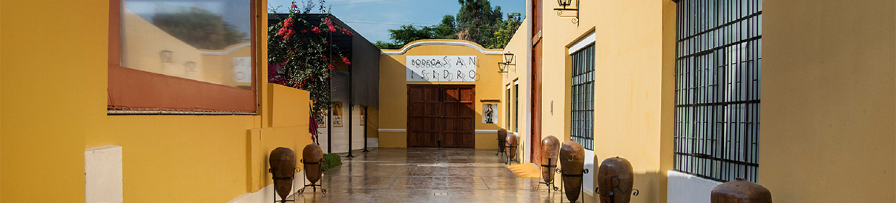 Bodega San Isidro