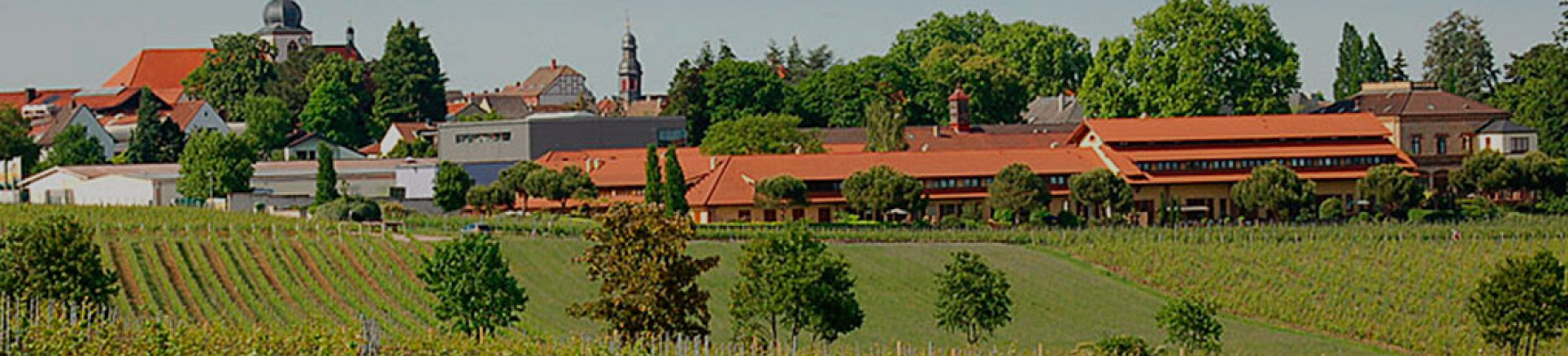 Weingut Villa Wolf