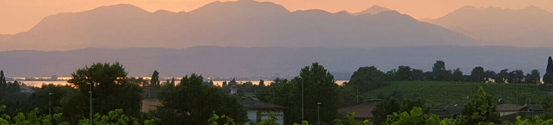 Productor: Poggio delle Grazie