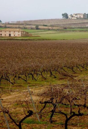 El Celler el Roure: la pureza de la toscana valenciana