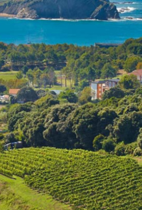 Txakoli: el vino del caserío sueña en grande