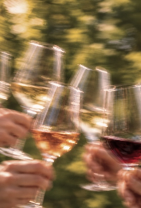 Vinos ligeros