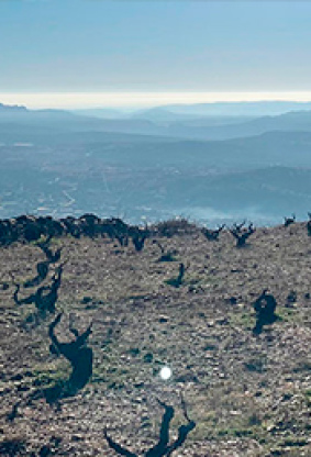 Adéntrate en Gredos y descubre más sobre las tres "G"