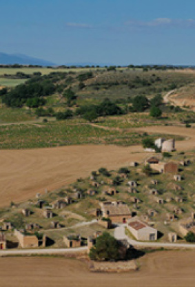 ¿Qué sabes de la D.O. Ribera del Duero?