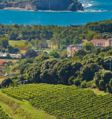 Txakoli: el vino del caserío sueña en grande