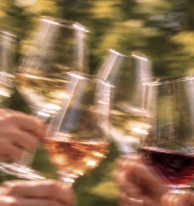 Vinos ligeros