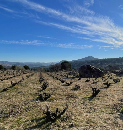 Gredos 2026: una añada marcada por el fuego