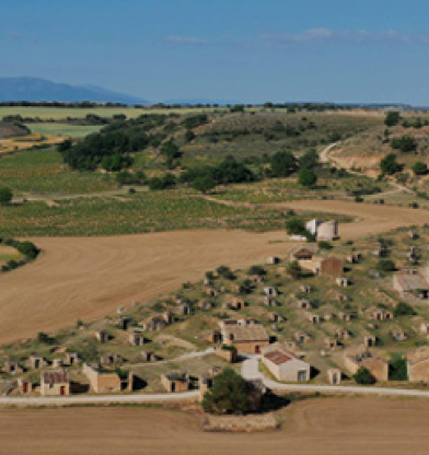 ¿Qué sabes de la D.O. Ribera del Duero?