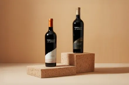 Terrazas de los Andes