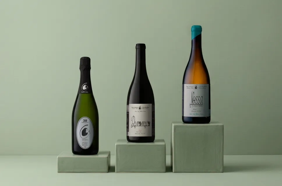 Vinos de la bodega Filipa Pato & William Wouters