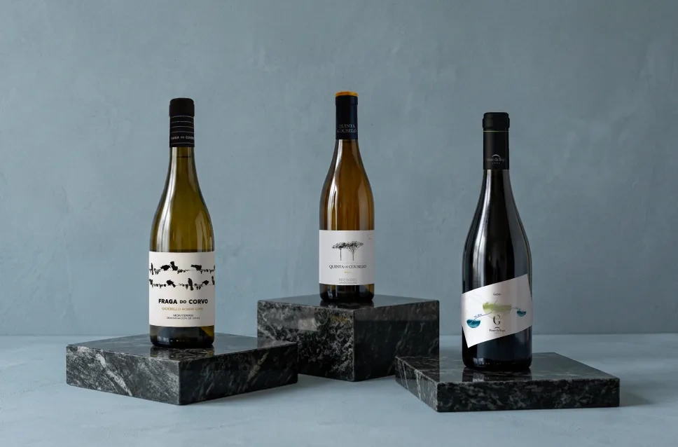 Vinos de la bodega Grandes Pagos Gallegos