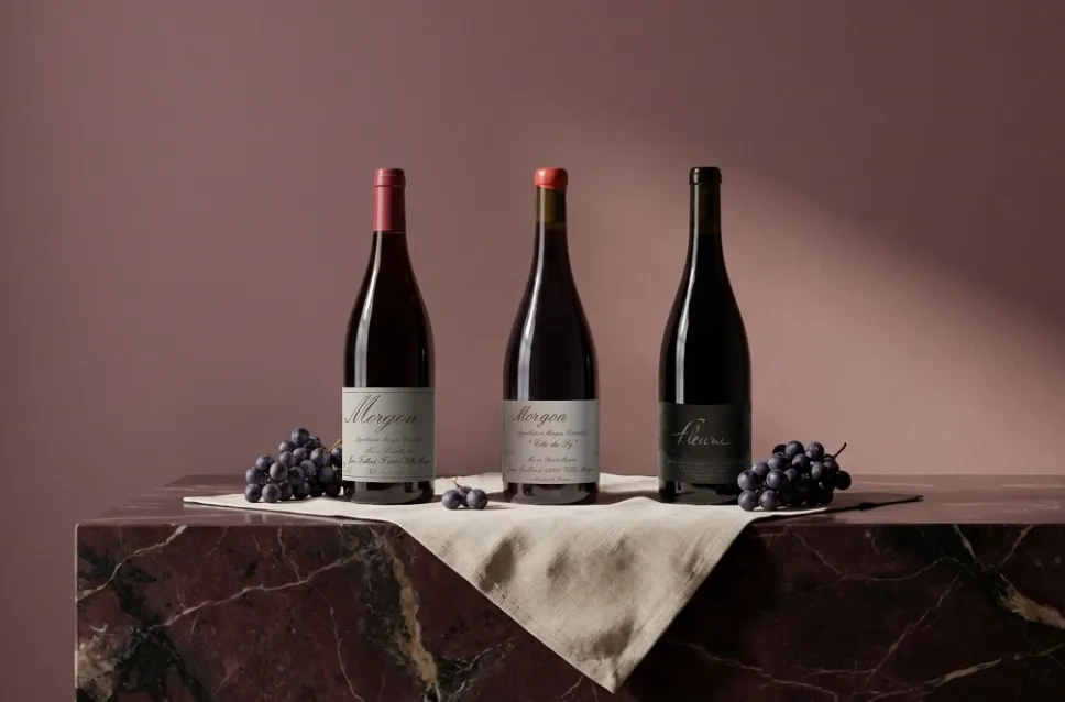 Vinos de la bodega Jean Foillard