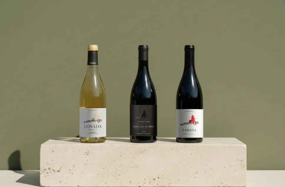 Vinos de la bodega Losada