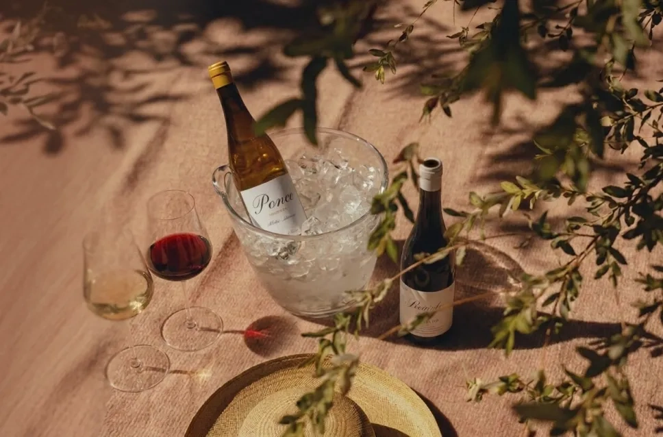 Botellas de vino recomendados por nuestro comité de cata