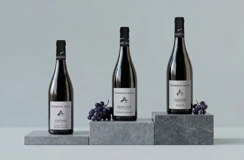 Botellas de vino de la bodega Domaine Anita
