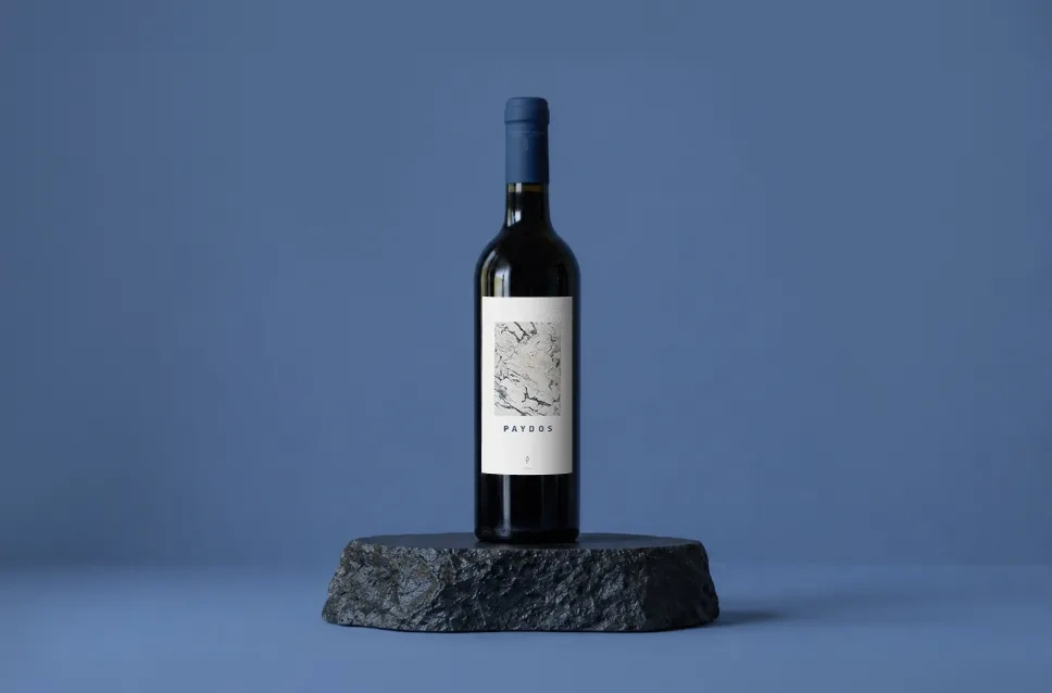 Botella de vino Paydos 2019