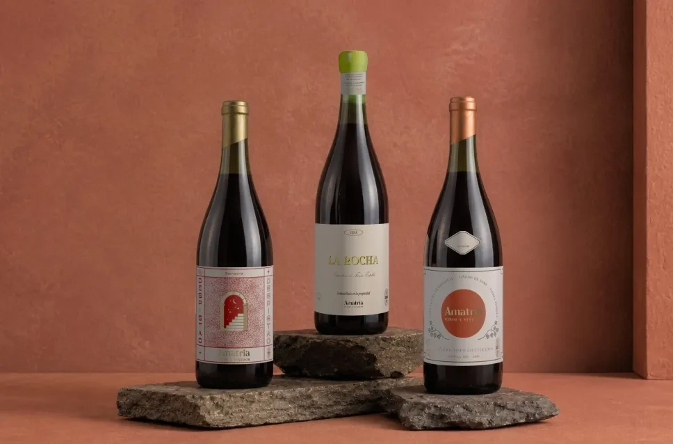 Botellas de vino de la bodega Amatria
