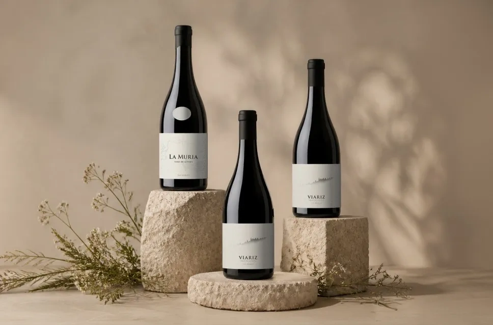 Pack de tres botellas de vino de Raúl Pérez