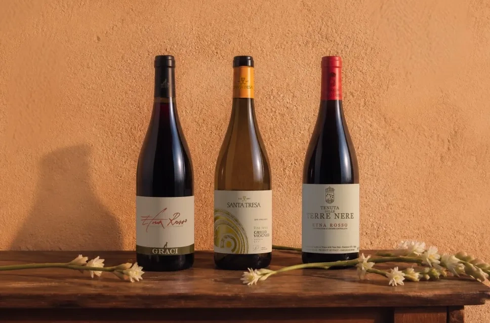 Botellas de vino de Sicilia con 10% de descuento