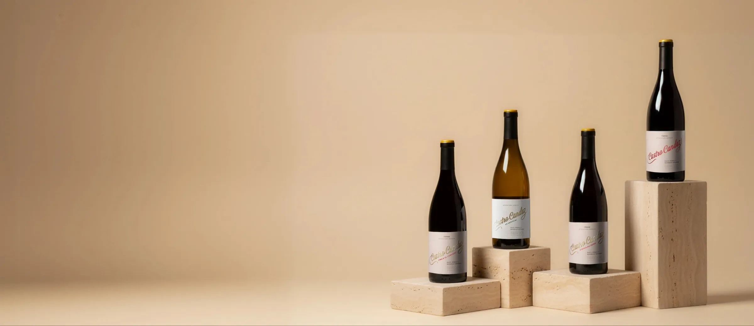 Botellas de vinos de Castro Candaz