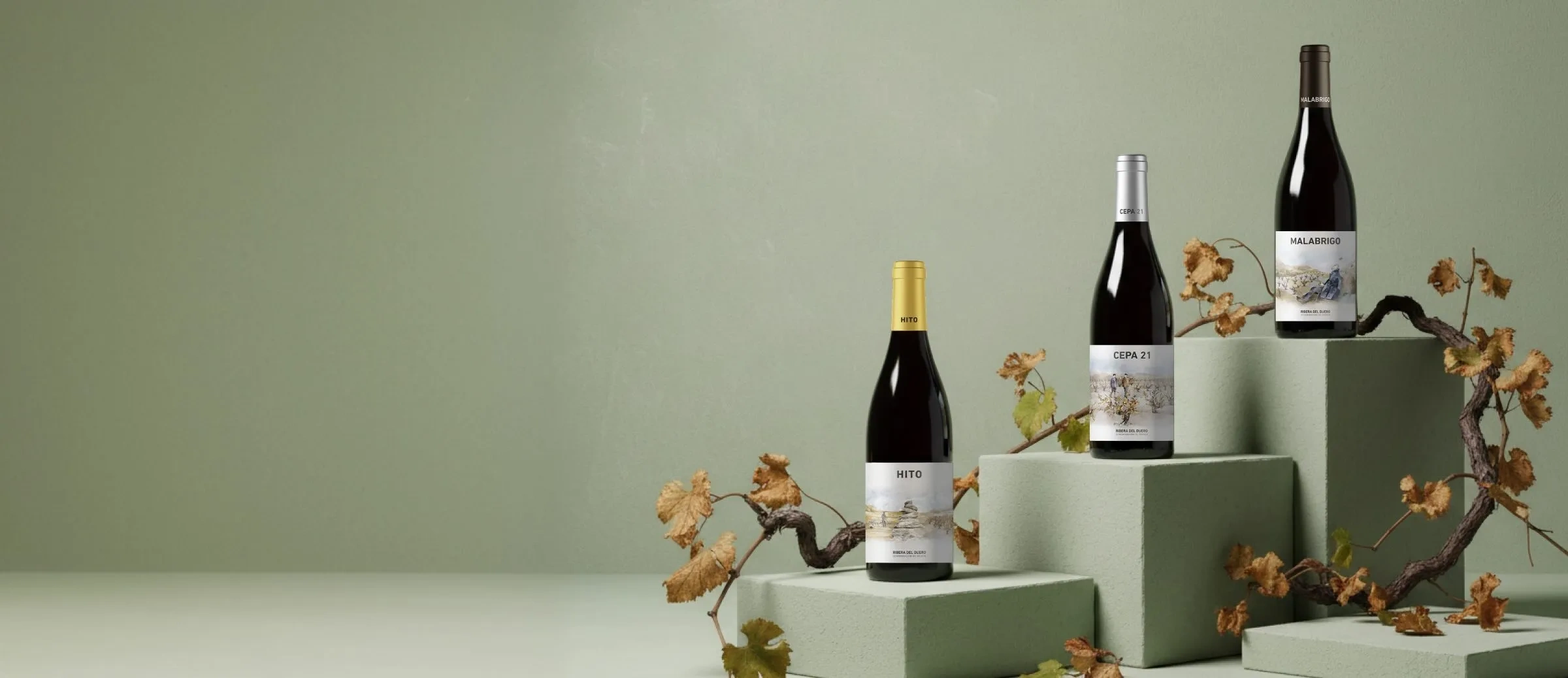 Vinos de la bodega Cepa 21