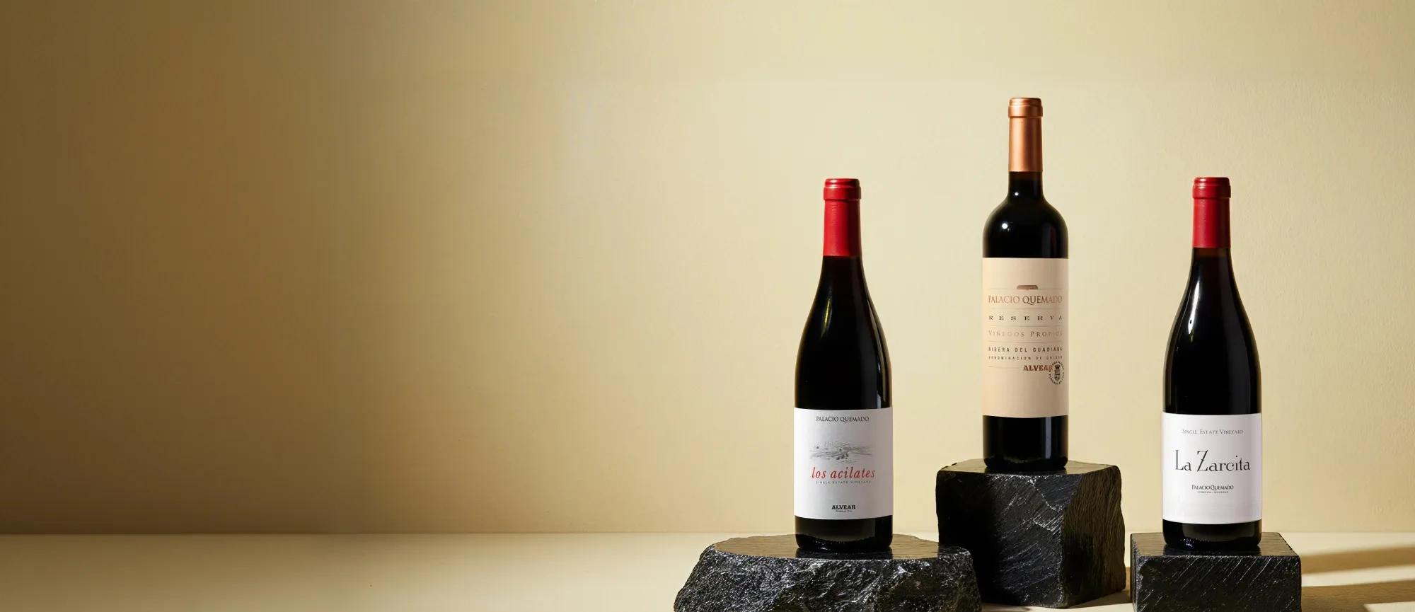 Vinos de la bodega Palacio Quemado