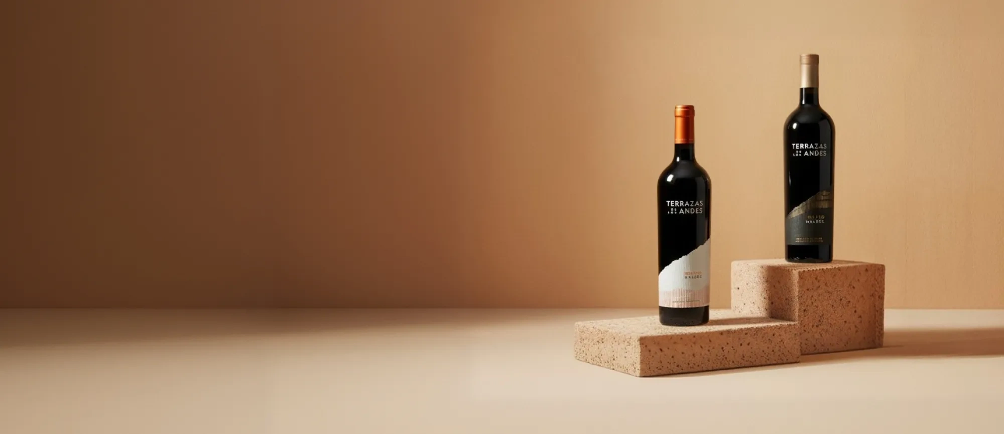 Terrazas de los Andes