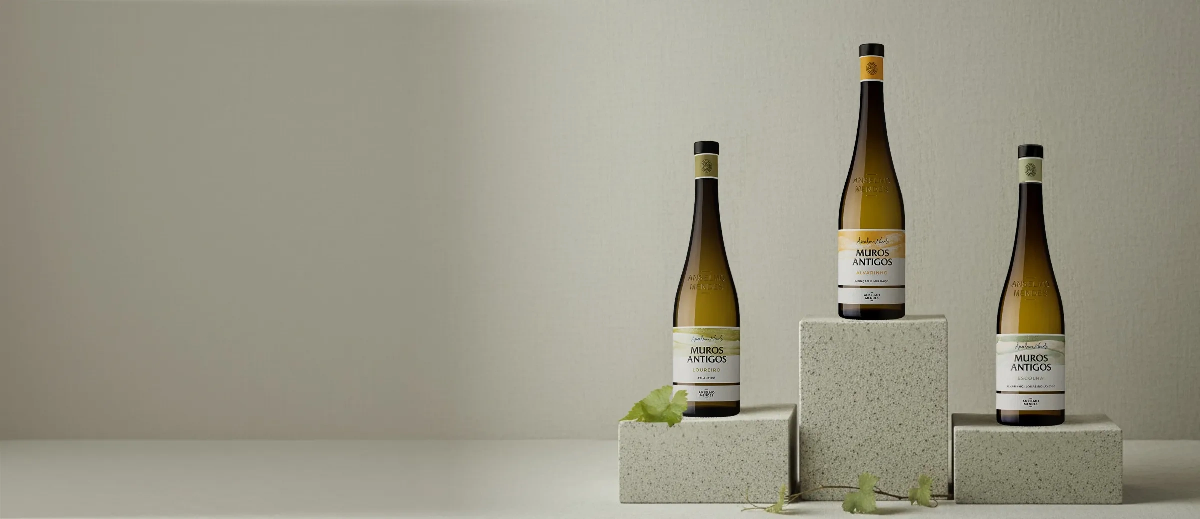 Vinos de la bodega Anselmo Mendes