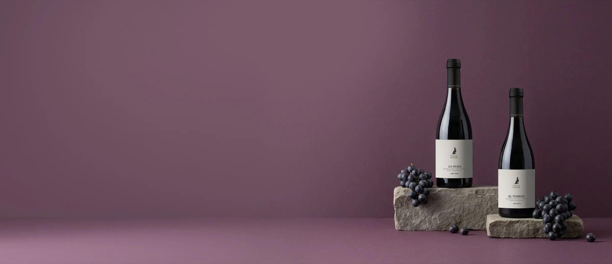 Botellas de vino de la bodega Domaines Lupier