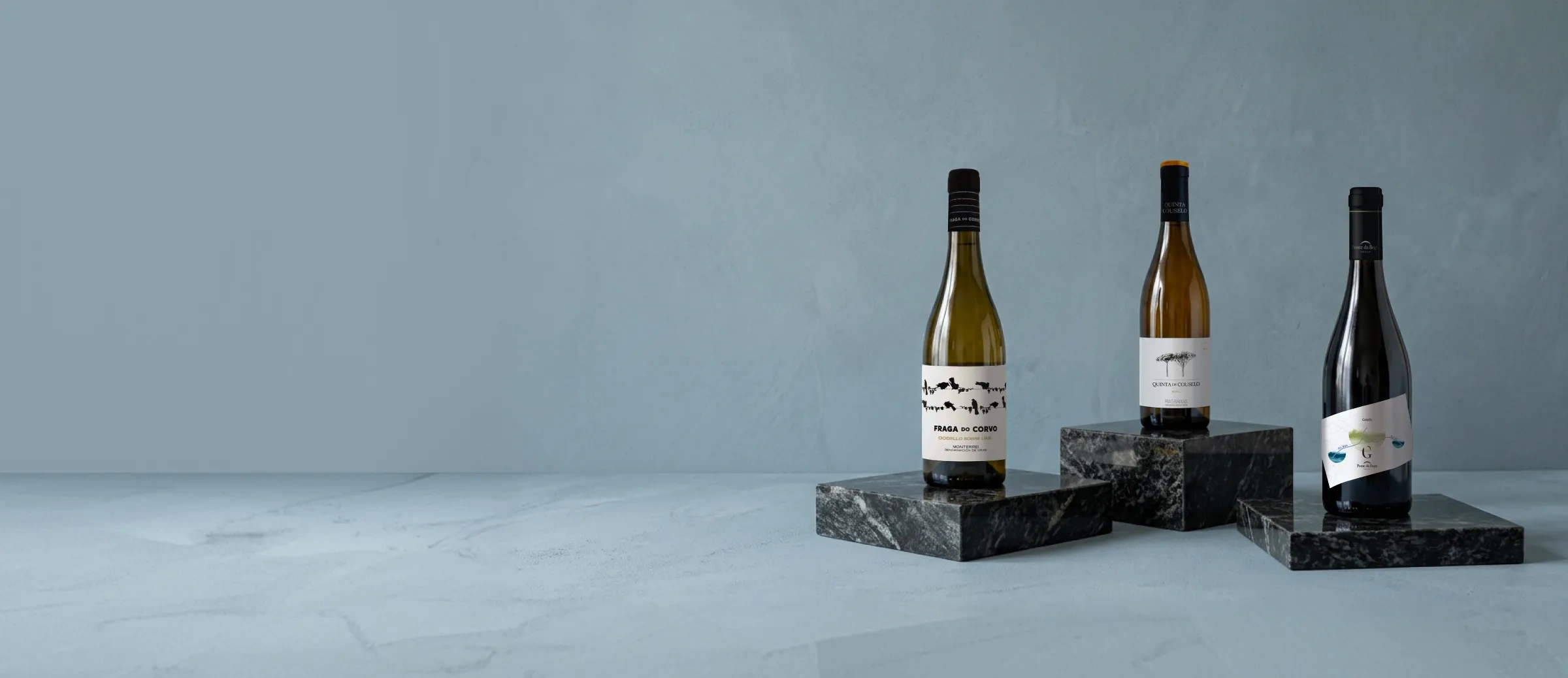 Vinos de la bodega Grandes Pagos Gallegos