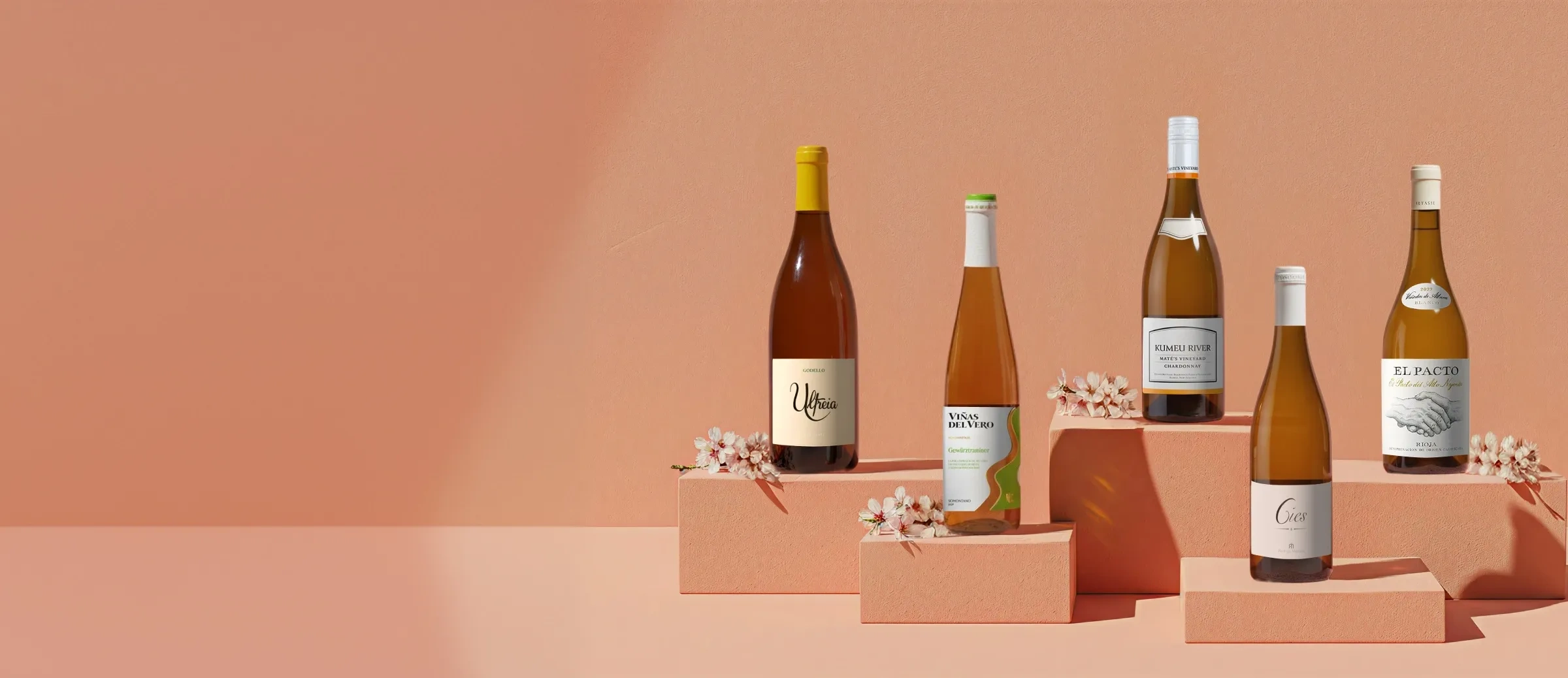 Botellas de vino de colección primavera