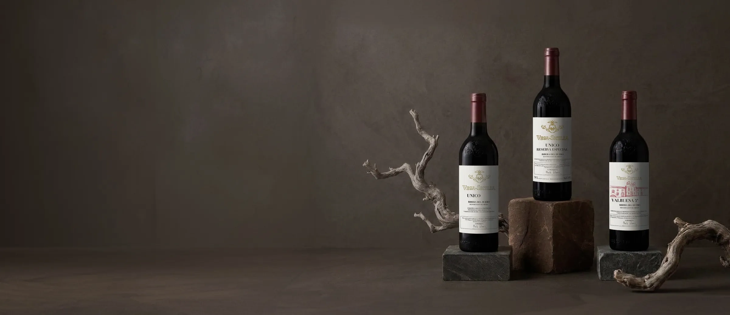 Vinos de la bodega Vega Sicilia