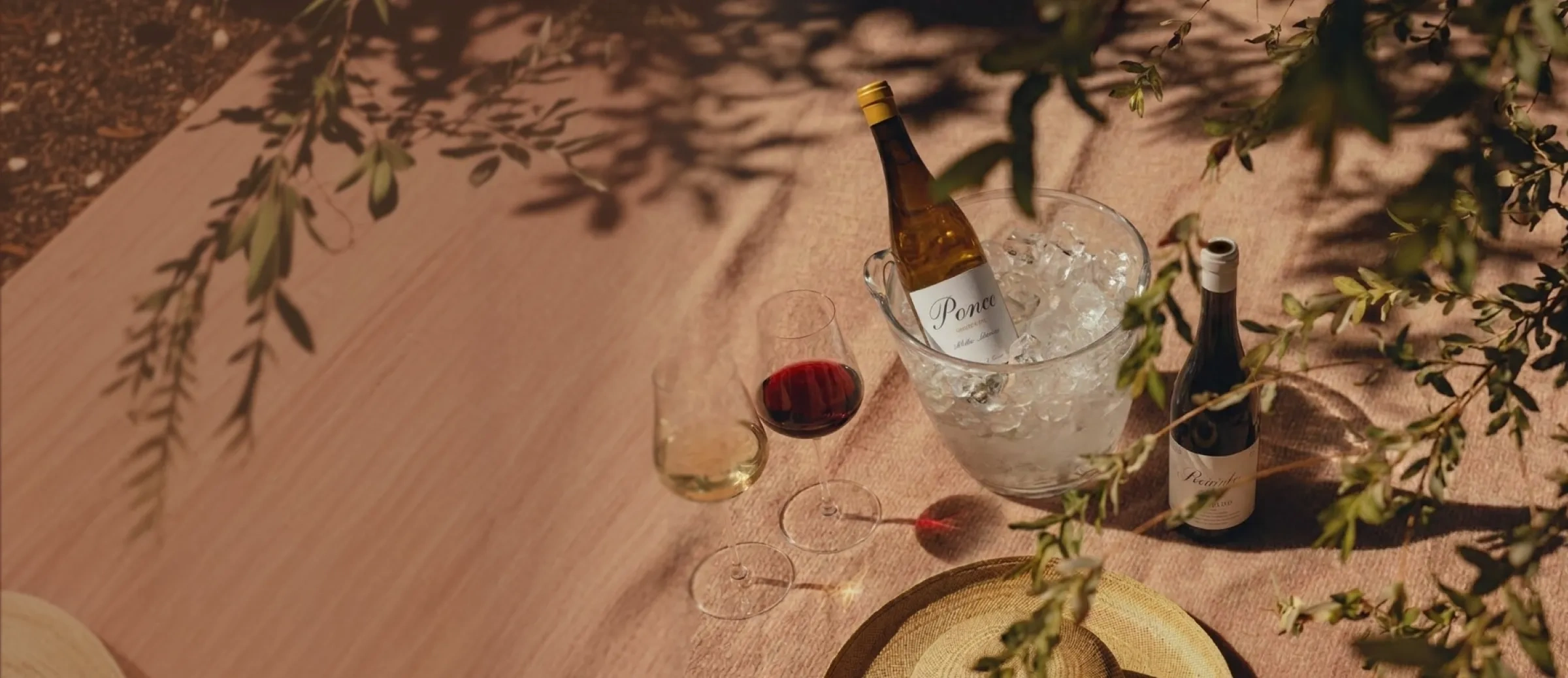 Botellas de vino recomendados por nuestro comité de cata