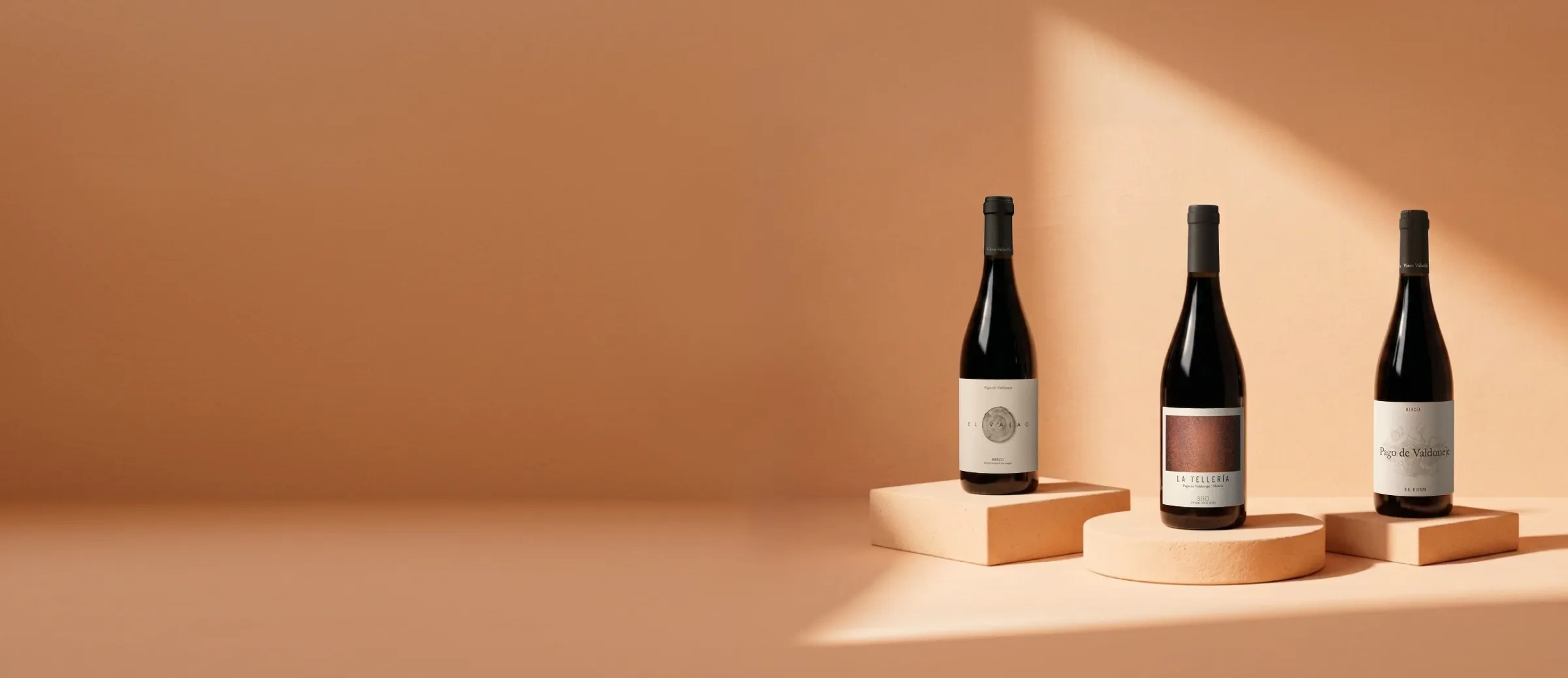 Botellas de vino de la bodega Vinos Valtuille