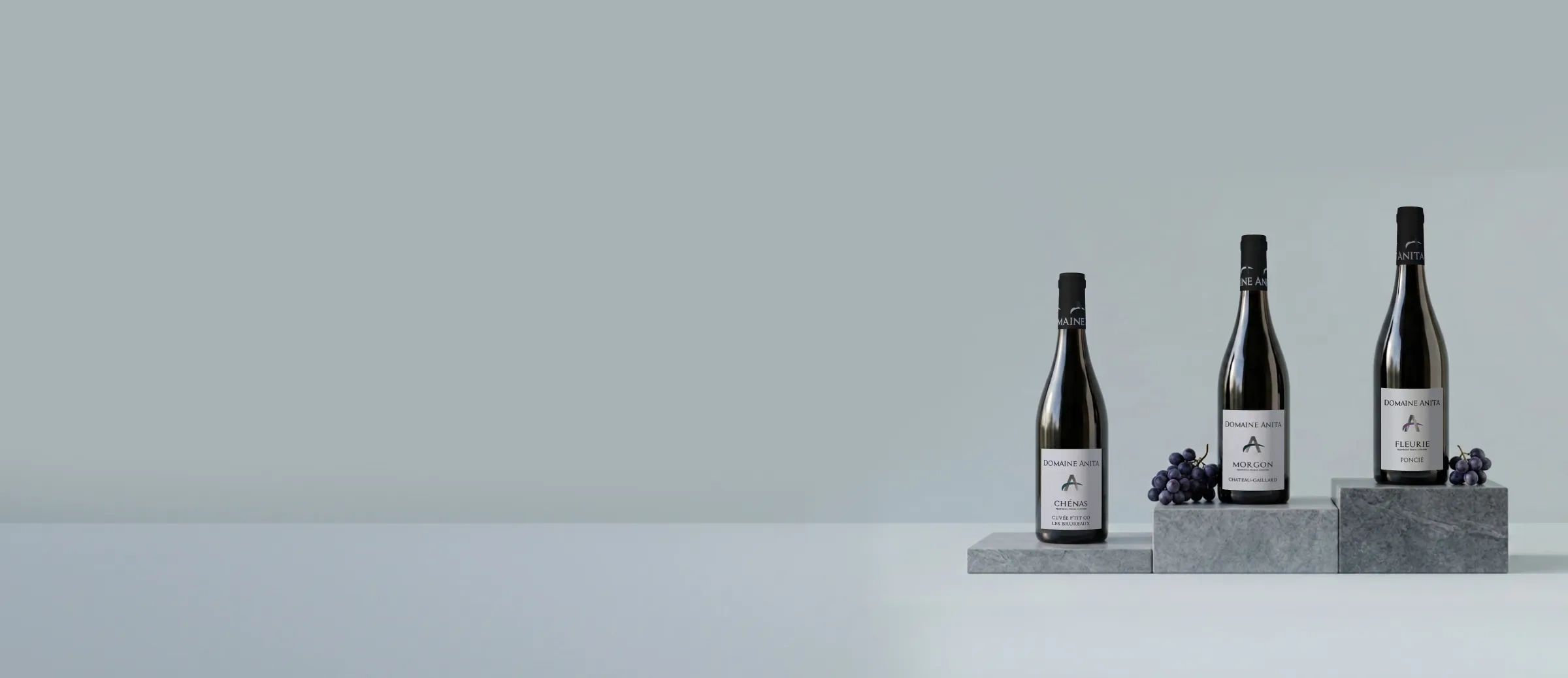 Botellas de vino de la bodega Domaine Anita
