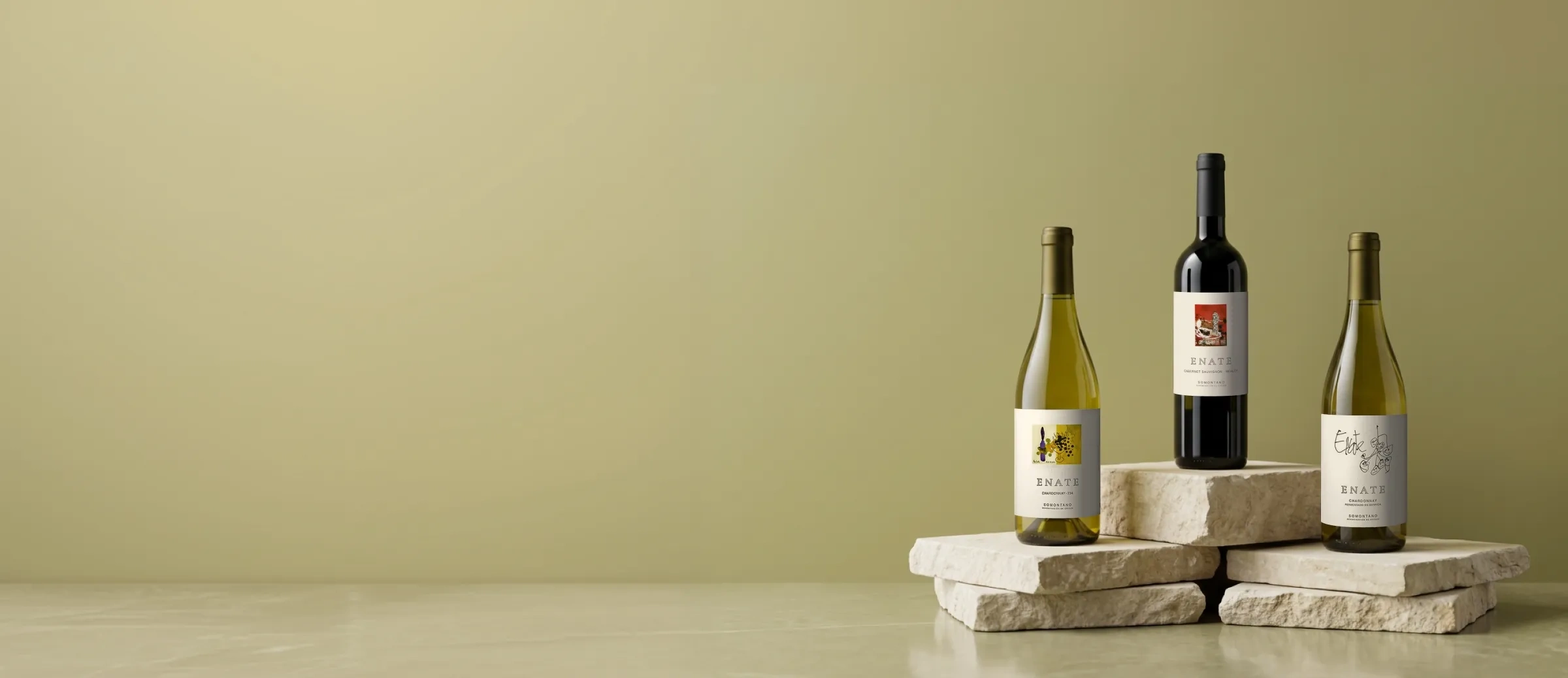 Botellas de vino de la bodega Enate