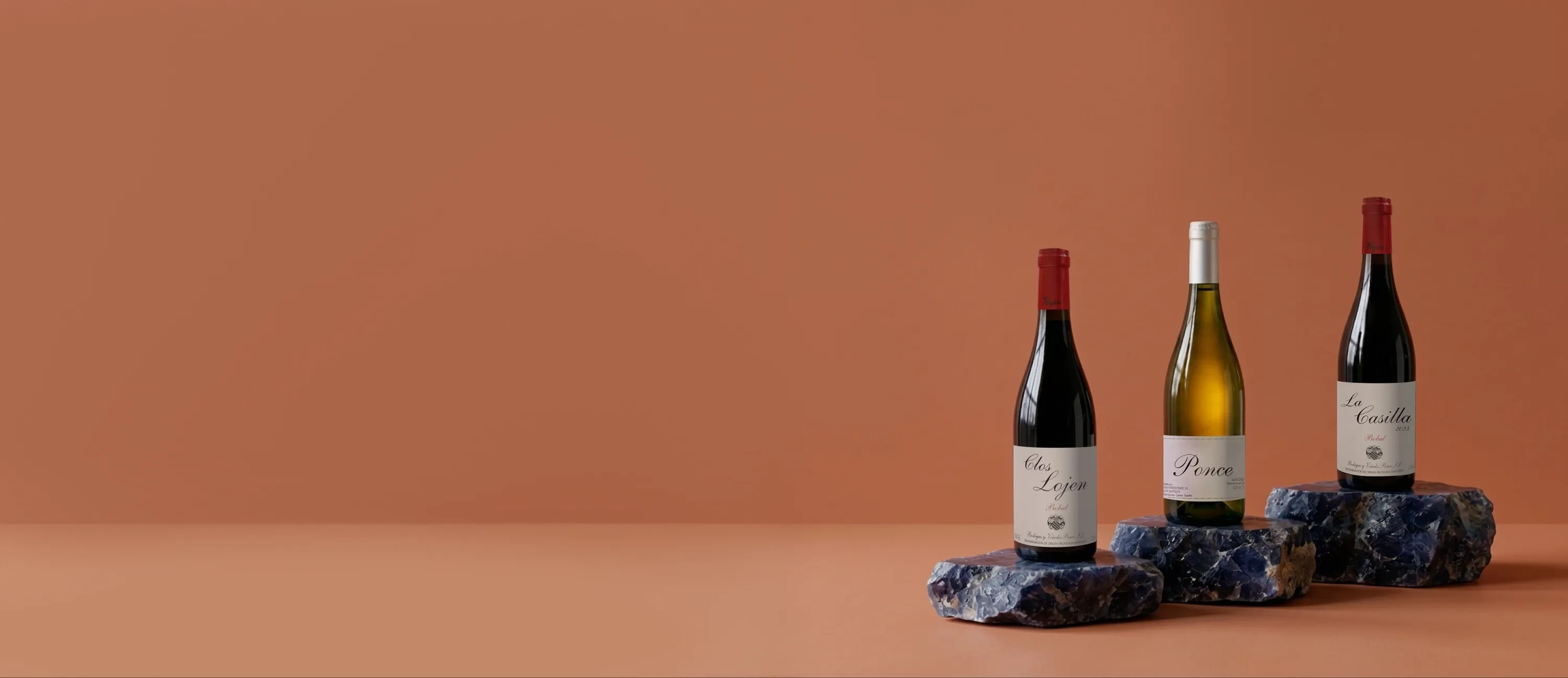 Botellas de vino de Bodegas y viñedos Ponce