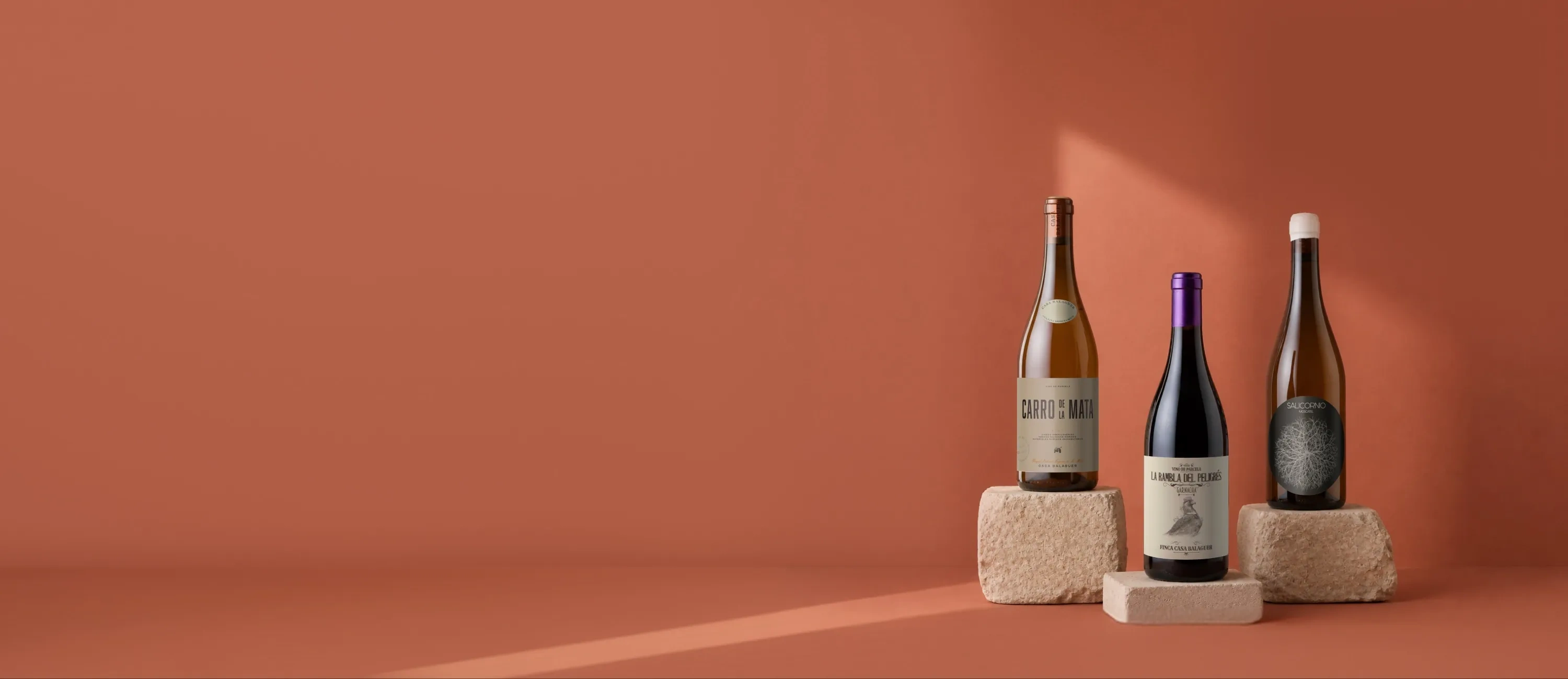 Botellas de vino de la bodega Casa Balaguer