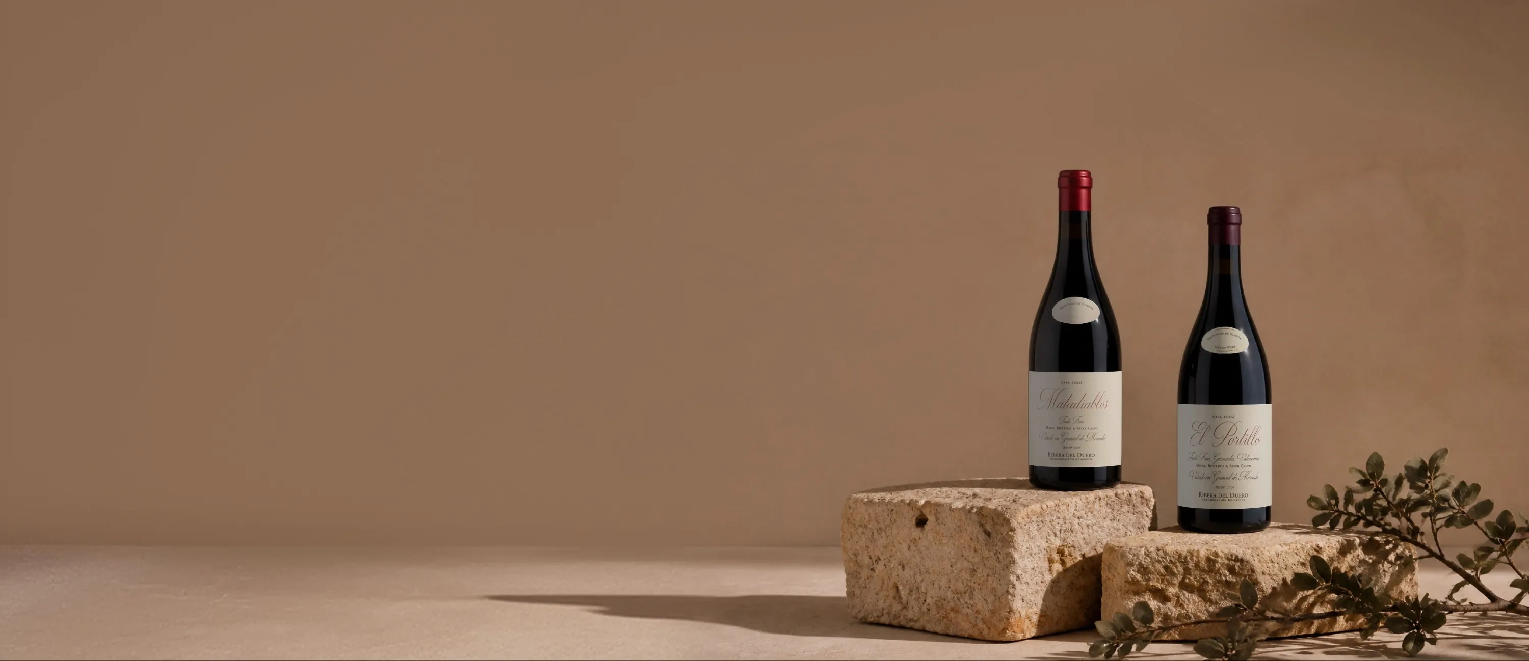 Botellas de vino de la bodega Casa Lebai