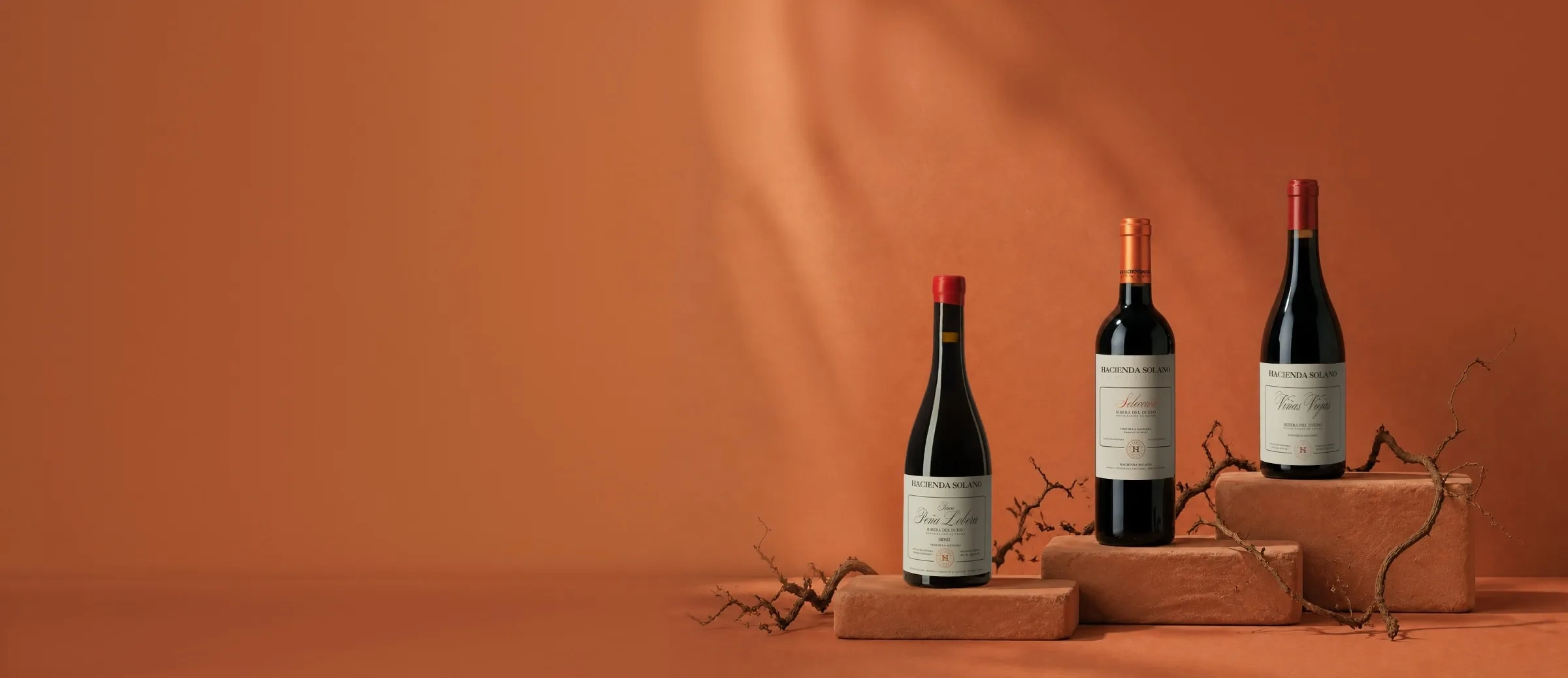 Botellas de vino de la bodega Hacienda Solano